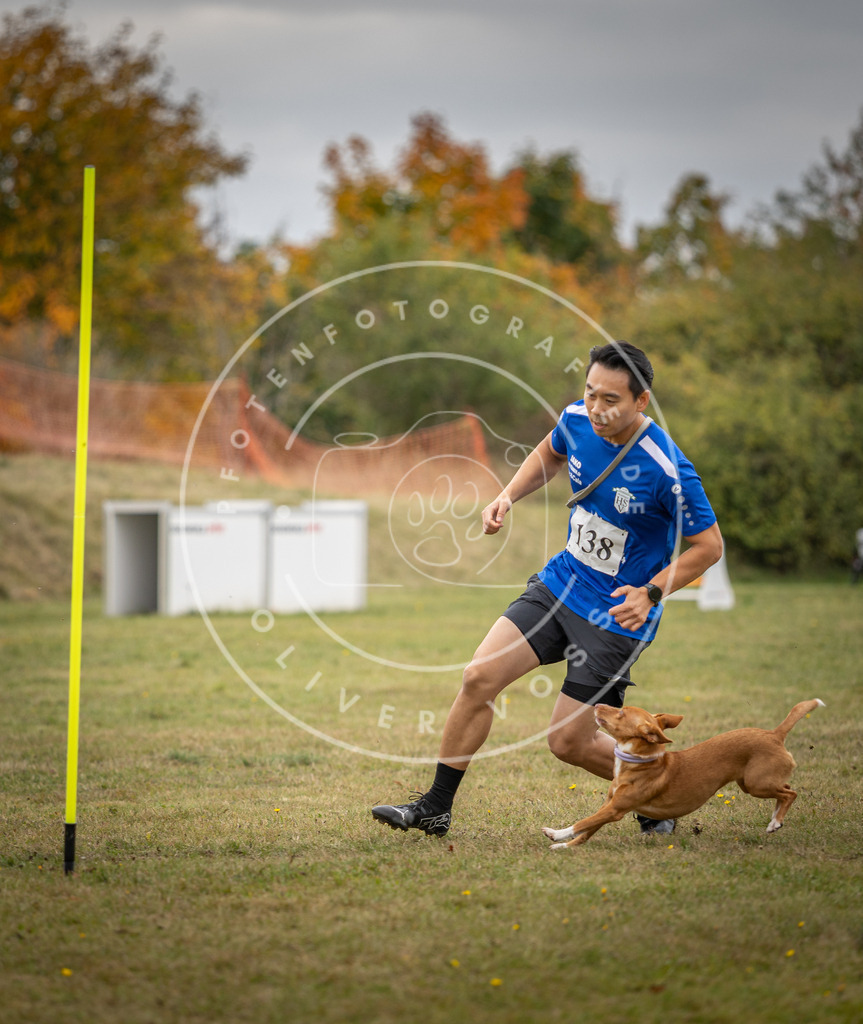 Pfotenfotografie_DV3A8205 | Hundefotografie, Tierfotograf, Pfotenfotografie, Fotoshooting Hund, Hunde Portrait, Hundesport, Hundeportraits, Heideshooting, Hunde, Sportfotograf, Hundefotograf, Turnierhundsport, THS,  - Realisiert mit Pictrs.com