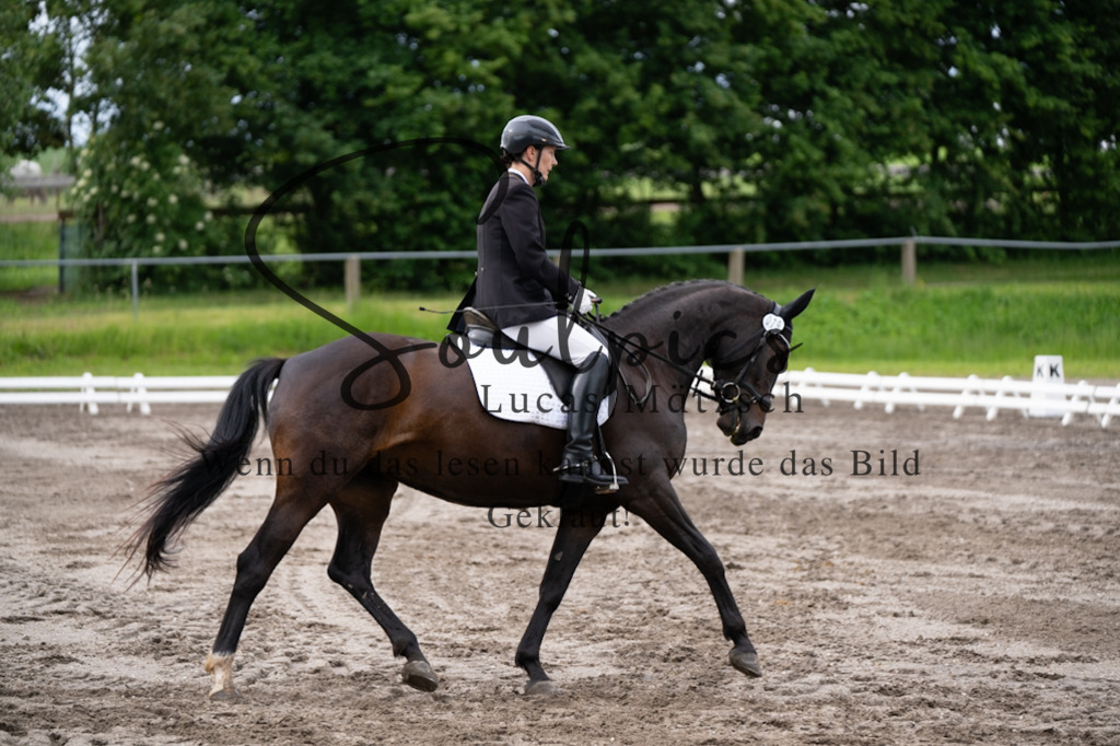 A7V03769 | Pferdefotograf