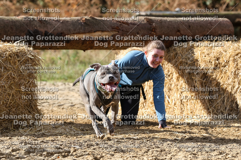 Dog Paparazzi - Strongdog 10-25-4984 | Dog Paparazzi Jeanette Grottendiek Fotografie & Videografie - Realisiert mit Pictrs.com