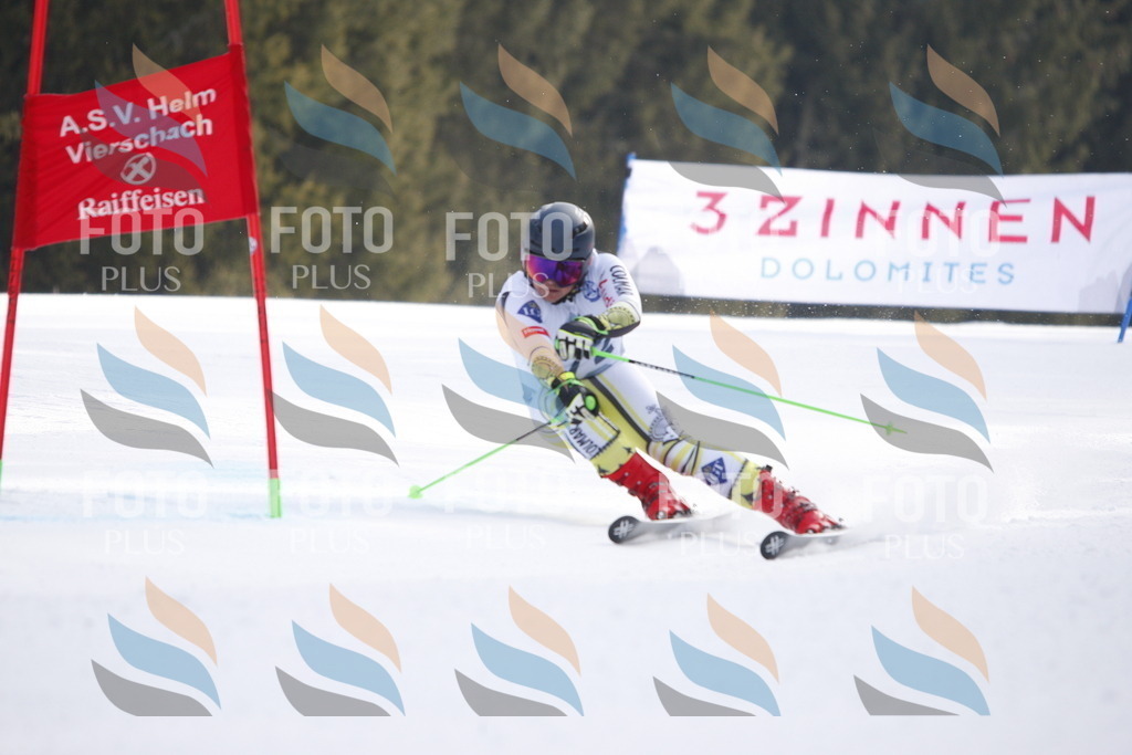 D7533 | holidayphoto