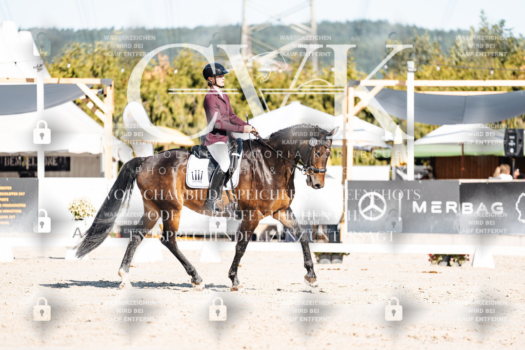 CK907520 | Turnierfotografie Pferdefotografie Trier Rheinland-Pfalz Pferdesport Reitsport Tierfotografie Sportfotografie Pferdevideo Pferdevideografie Equestrianvideography equestrianphotography  - Realisiert mit Pictrs.com
