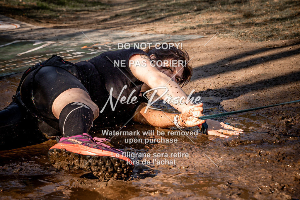 nelerasche_Hulsbeek_So1030-1100_43 | nelerasche