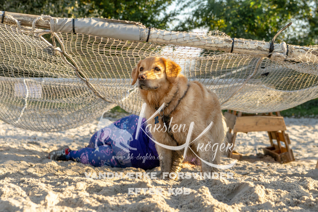 1705_ZZ90450 | kk-dogfotos