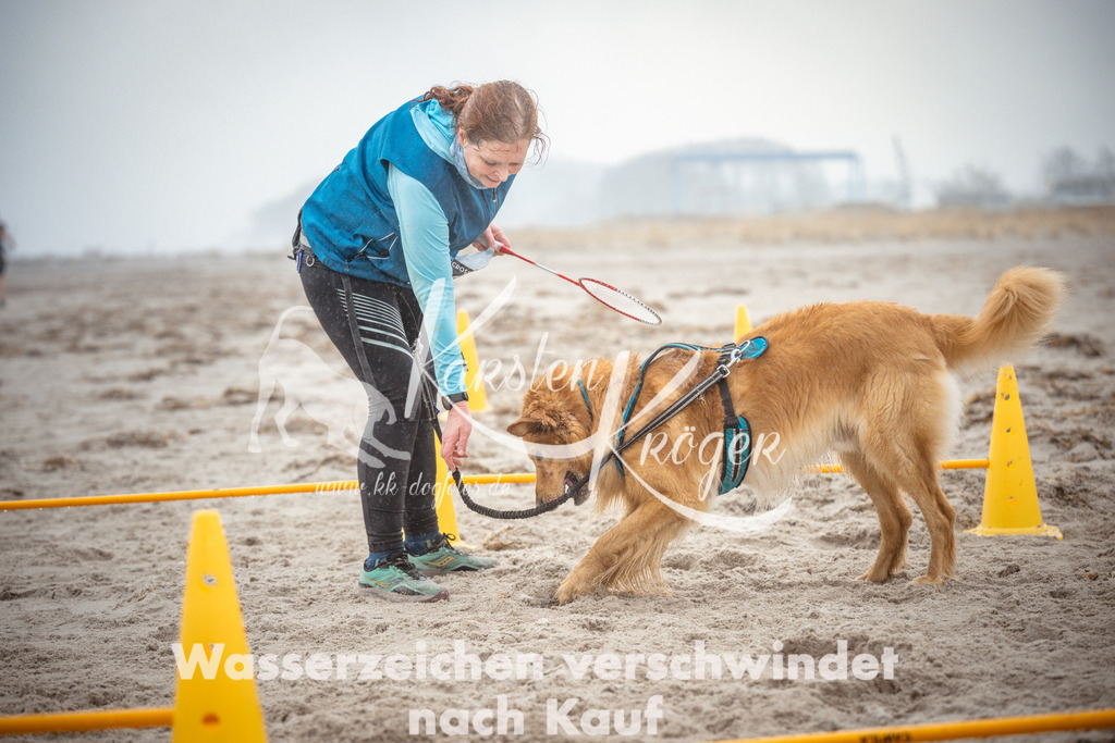 1113_ZZ97251 | kk-dogfotos