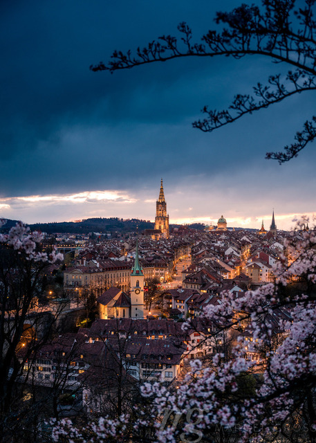 skyline of Berne during Cherry blossom at blue hour in spring | Die ideale Geschenkidee für Naturliebhaber. Naturbilder von Marcel Gross Photography für ihr Zuhause in den verschiedensten Formaten und Materialien. - Realizzato con Pictrs.com