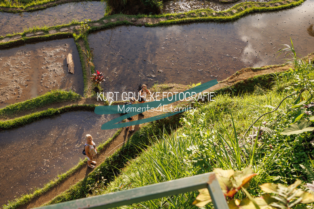 230720-1395 | onlinegalerie und Fotoshop Kurt Gruhlke Fotograf Berlin
Hochzeitsfotograf Eventfotograf Portraitfotografie
 - Realisiert mit Pictrs.com