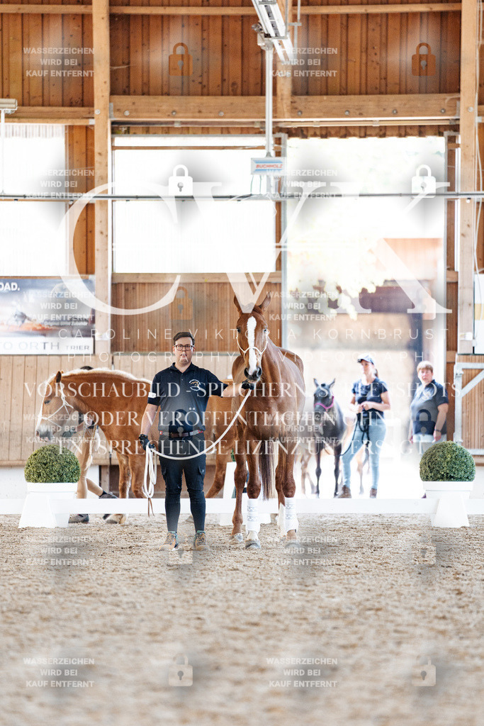 CK906636 | Turnierfotografie Pferdefotografie Trier Rheinland-Pfalz Pferdesport Reitsport Tierfotografie Sportfotografie Pferdevideo Pferdevideografie Equestrianvideography equestrianphotography  - Realisiert mit Pictrs.com
