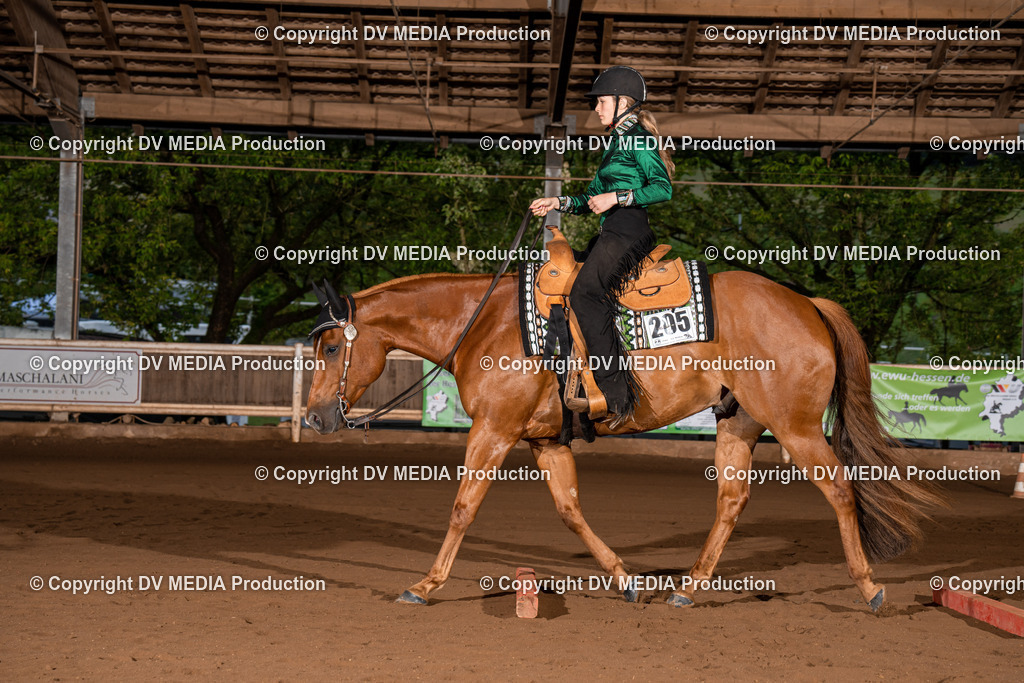 Erbach Tag 3-08 | dv-media-shop - Realisiert mit Pictrs.com