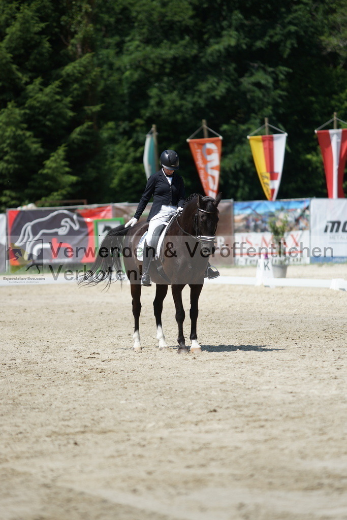 DSC01652 | equestrian-live-com
