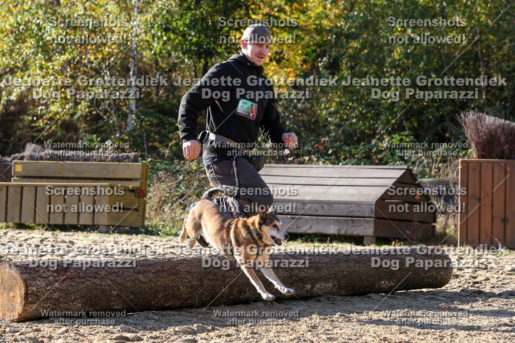 Dog Paparazzi - Strongdog 10-25-6038 | Dog Paparazzi Jeanette Grottendiek Fotografie & Videografie - Realisiert mit Pictrs.com