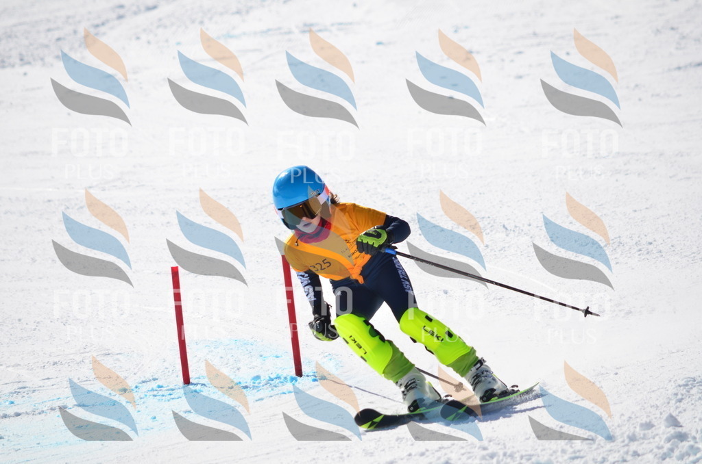 C9604 | holidayphoto