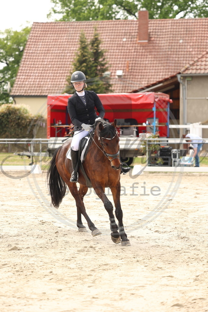 994A7563 | sabrinanicolaifotografie - Realisiert mit Pictrs.com