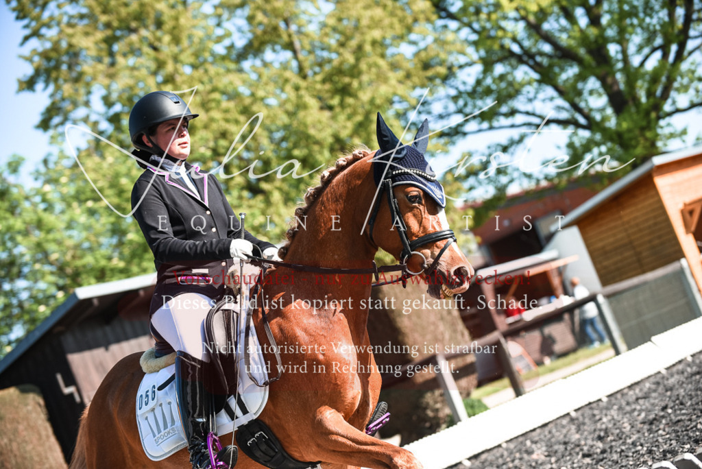 DSC_8427 | Pferde- und Turnierfotografie in Westsachsen. Pferdeportraits, Auftragszeichnungen und intuitive Kunst.
