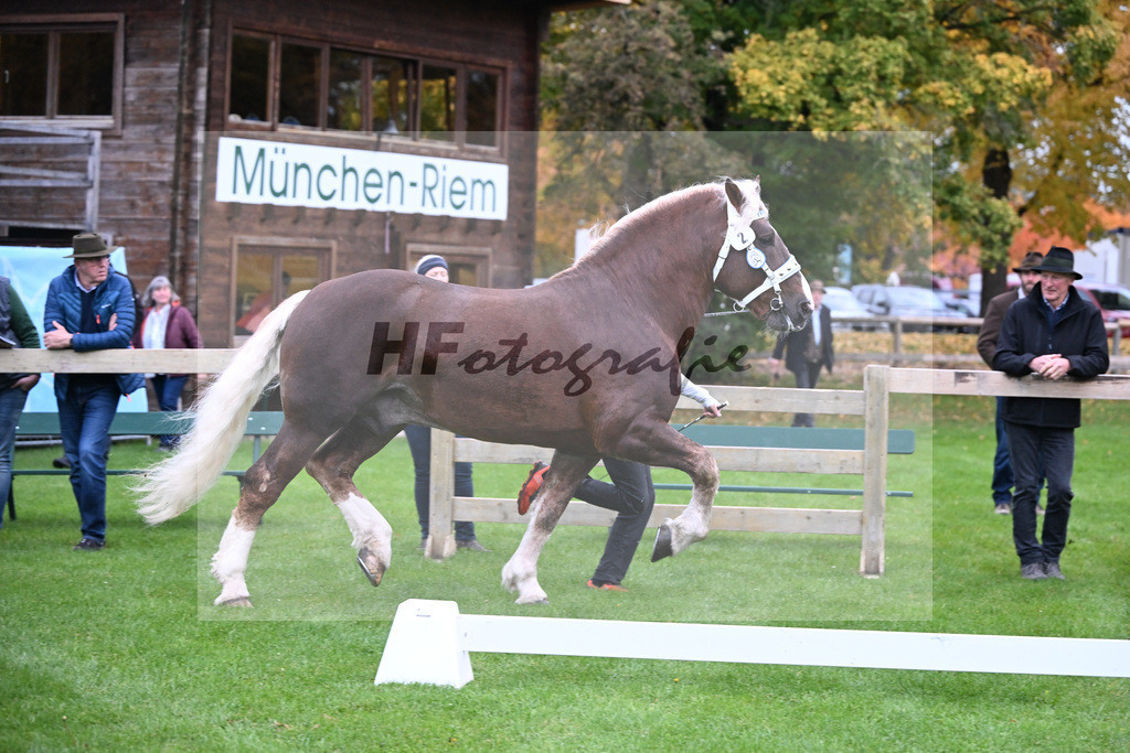 Kat-Nr. 2 Variano v. Versailles_Walter_41250027 | hf-fotografie - Realizzato con Pictrs.com