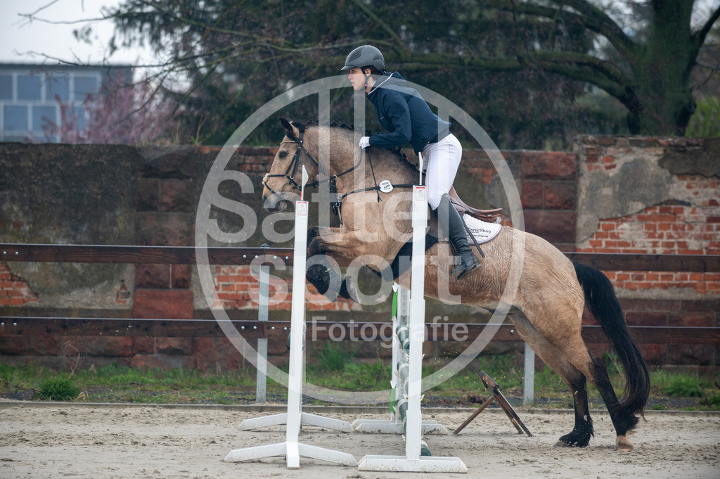 DSC_8952 | sattelsport - Realisiert mit Pictrs.com