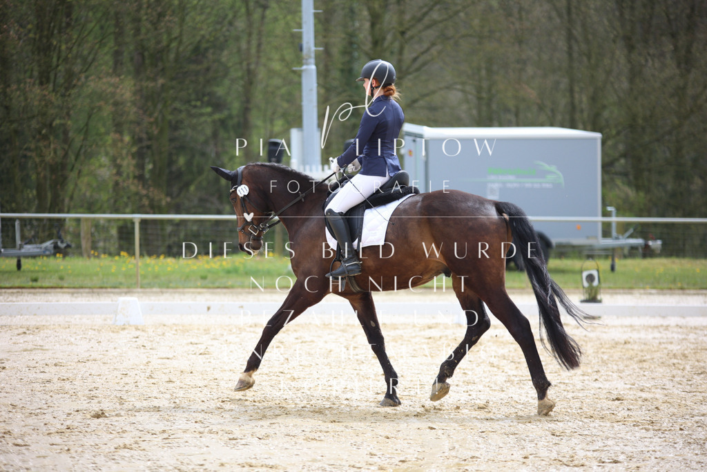 IMGT3076 | pl-fotografie