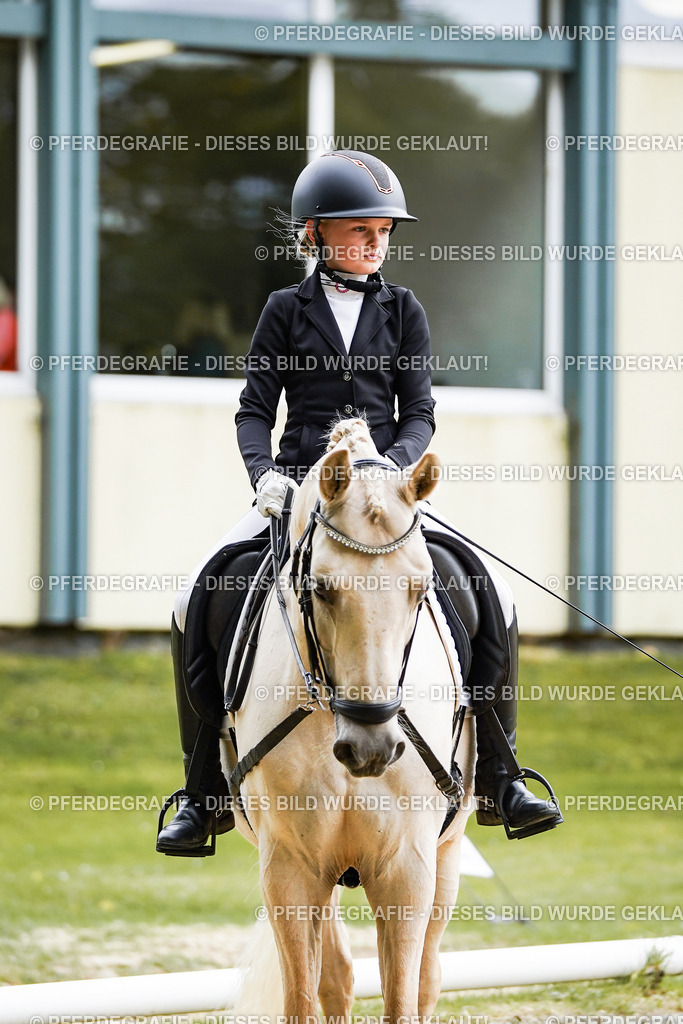 DSC05665 | Pferdegrafie