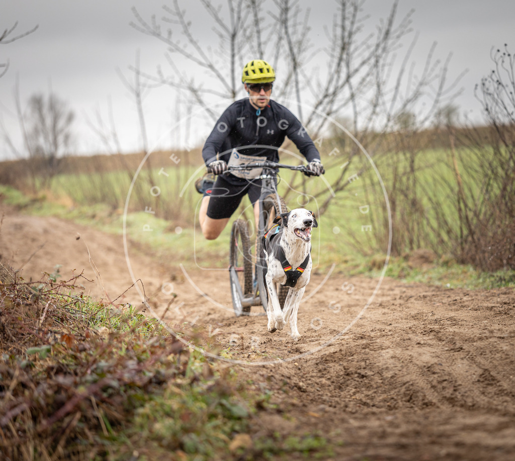 DV3A9217 | Hundefotografie, Tierfotograf, Pfotenfotografie, Fotoshooting Hund, Hunde Portrait, Hundesport, Hundeportraits, Heideshooting, Hunde, Sportfotograf, Hundefotograf, Turnierhundsport, THS,  - Realisiert mit Pictrs.com