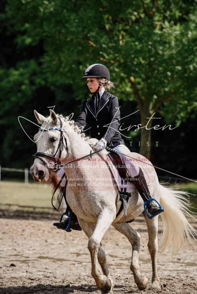 DSC_0516 | Pferde- und Turnierfotografie in Westsachsen. Pferdeportraits, Auftragszeichnungen und intuitive Kunst.