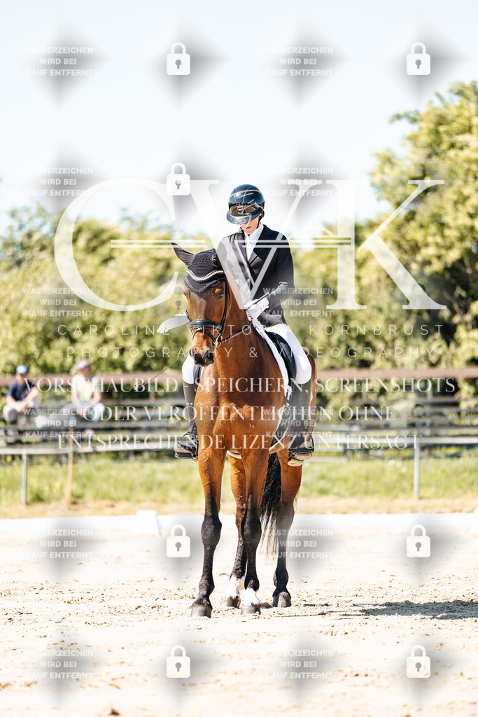 CK905122 | Turnierfotografie Pferdefotografie Trier Rheinland-Pfalz Pferdesport Reitsport Tierfotografie Sportfotografie Pferdevideo Pferdevideografie Equestrianvideography equestrianphotography  - Realisiert mit Pictrs.com