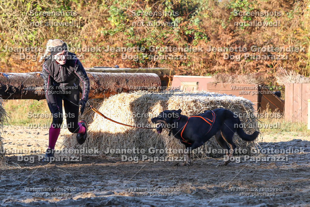 Dog Paparazzi - Strongdog 10-25-731 | Dog Paparazzi Jeanette Grottendiek Fotografie & Videografie - Realisiert mit Pictrs.com