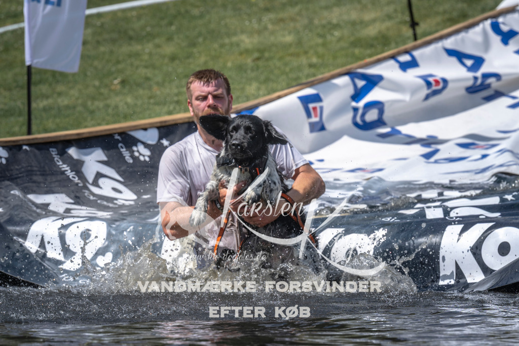 1231_ZZ97872 | kk-dogfotos