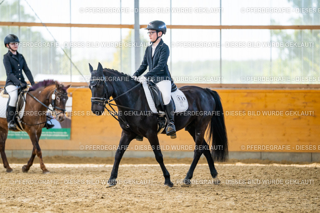 DSC01364 | Pferdegrafie