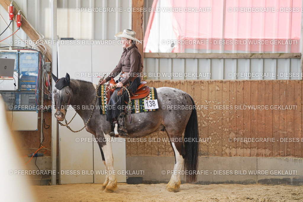 DSC02340 | Pferdegrafie