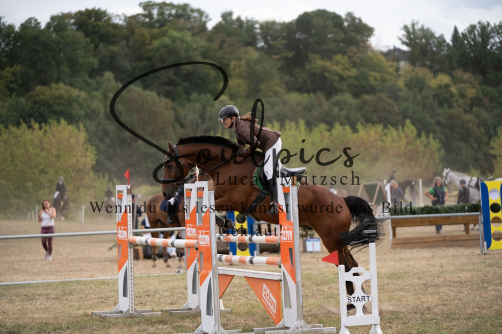 A7V09594 | Pferdefotograf