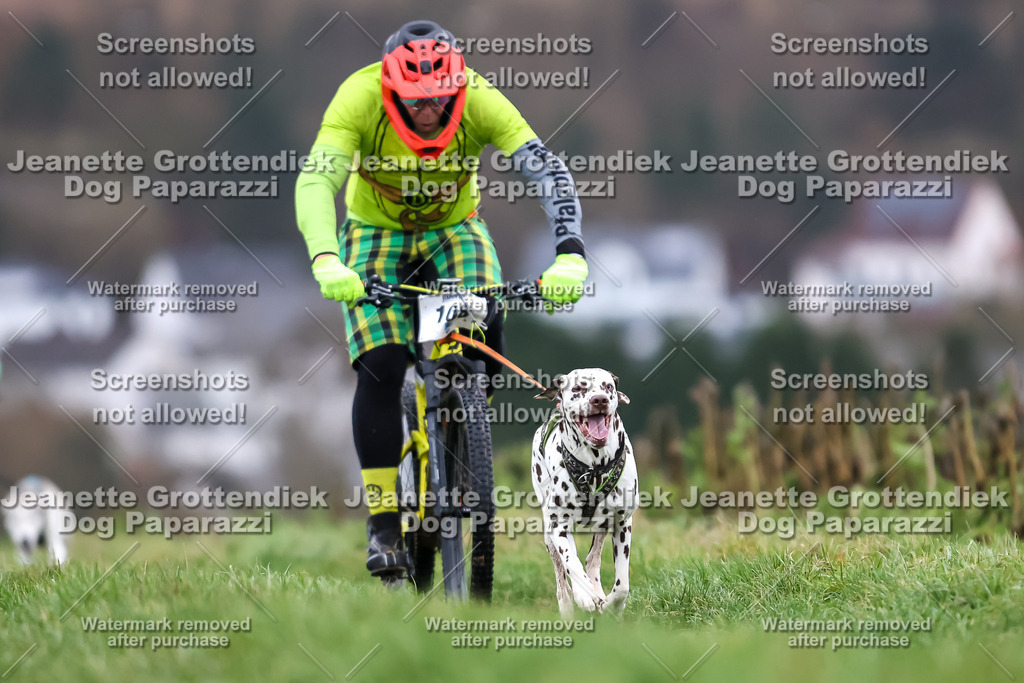 Dog Paparazzi - Herkules Race  2025-12 | Dog Paparazzi Jeanette Grottendiek Fotografie & Videografie