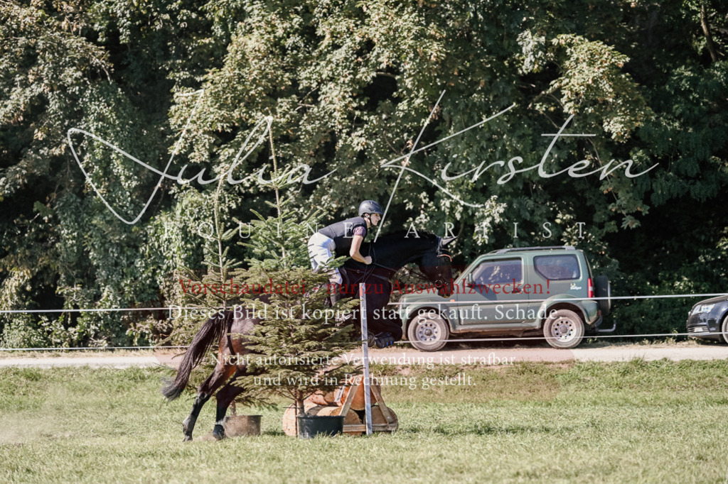 DSC_2895 | Pferde- und Turnierfotografie in Westsachsen. Pferdeportraits, Auftragszeichnungen und intuitive Kunst.