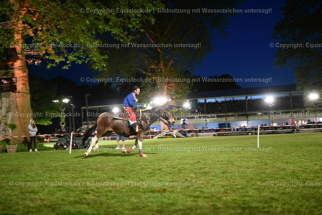 20230526_Pferdenacht_1342 | equistock