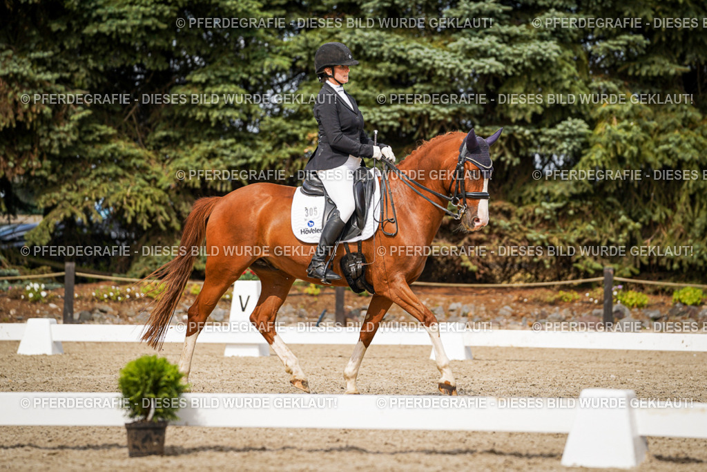 DSC06419 | Pferdegrafie