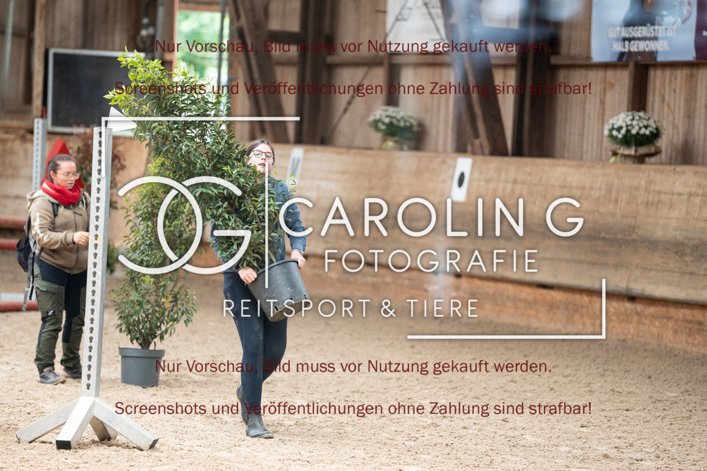DSC06343 | Turnierfotografin Carolin Gieschke, Turnierfotografie Carolin G Fotografie, Turnierfotos Kirchheim/Teck, Esslingen, Stuttgart, Bodenseekreis