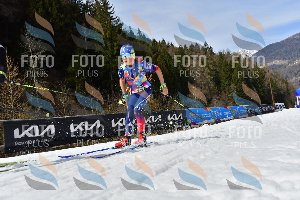 _DSC0705 | holidayphoto