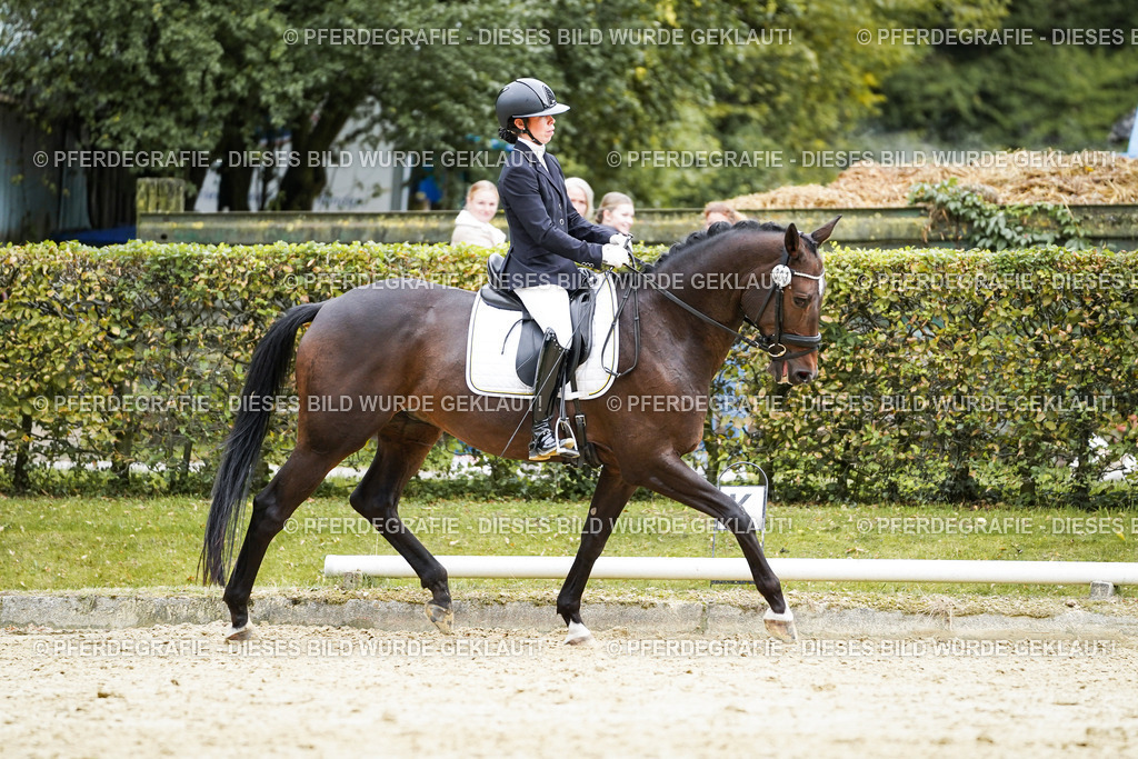 DSC00896 | Pferdegrafie