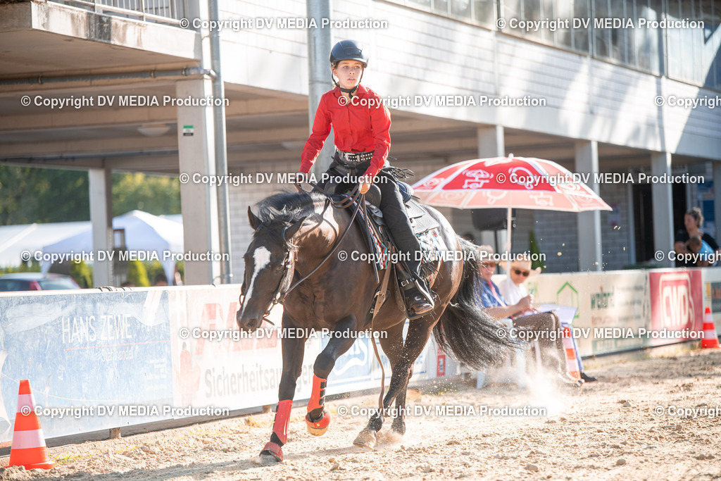 EWP_7134 | dv-media-shop - Realisiert mit Pictrs.com