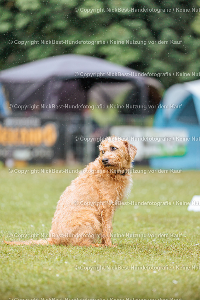 RO-Blumenthal-2026-Nickbest-Hundefotografie-3449 | Dein Hund! Dein Moment! Deine Erinnerungen! Hundefotografie in Bremen Blumenthal. Ich fange die besonderen Momente deines Vierbeiners ein – ob Indoor mit Blitzanlage oder in der freien Natur. Sicher dir dein Moment und dein Termin für eure Erinnerungen.