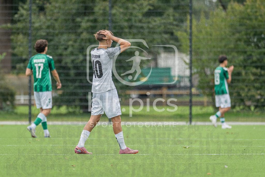 SV Werder Bremen - SV Grohn | SV Werder Bremen - SV Grohn