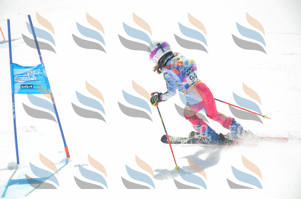 _ELE5716 | holidayphoto