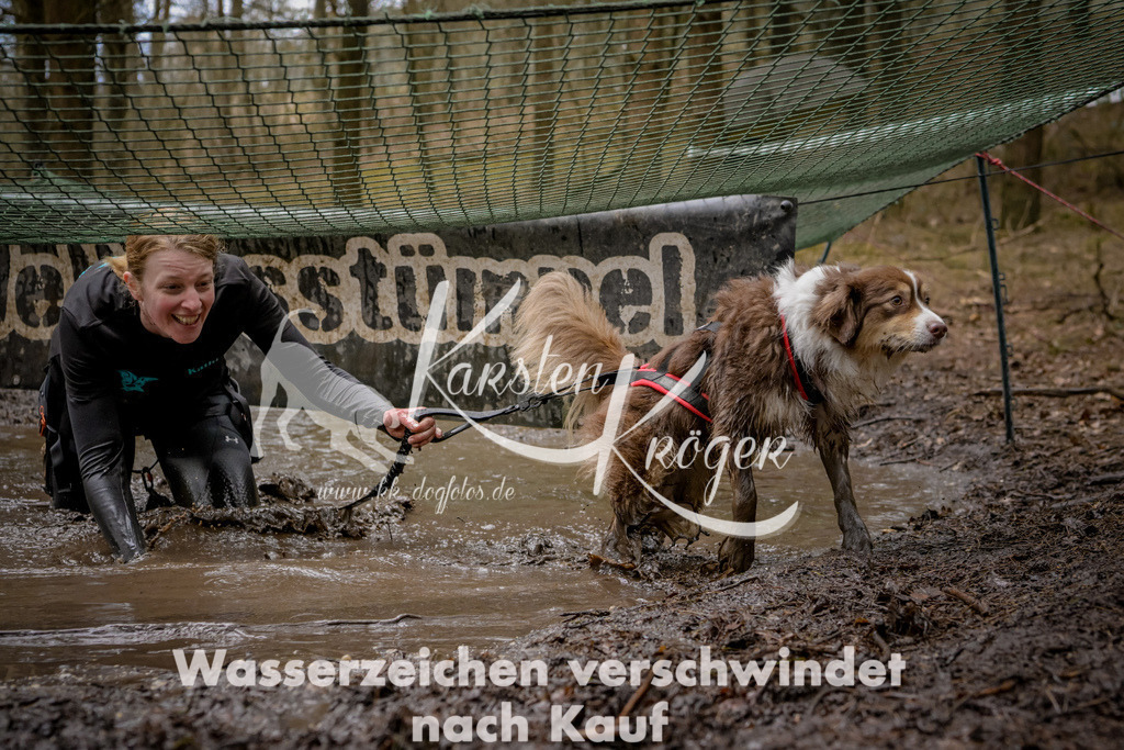 1053_ZZ92565 | kk-dogfotos