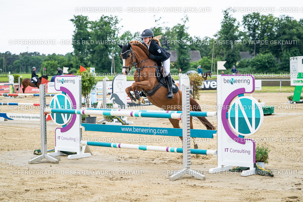 DSC04409 | Pferdegrafie