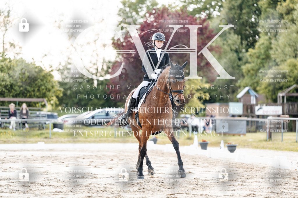 CK909663 | Turnierfotografie Pferdefotografie Trier Rheinland-Pfalz Pferdesport Reitsport Tierfotografie Sportfotografie Pferdevideo Pferdevideografie Equestrianvideography equestrianphotography  - Realisiert mit Pictrs.com