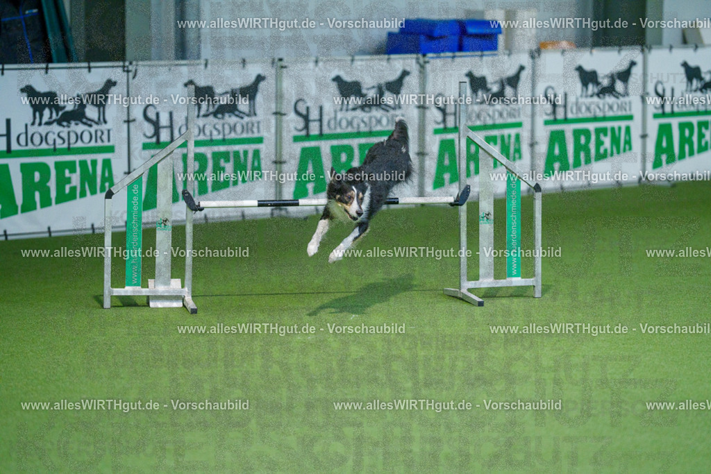 @allesWIRTHgut_Tierfotografie - www.allesWIRTHgut.de - 2604250937-7R508627 | Professionelle Tierfotografie in Mönchengladbach von Daniel Wirth (allesWIRTHgut). Liebevolle & natürliche Bilder von Hunden & Katzen für unvergessliche Erinnerungen.