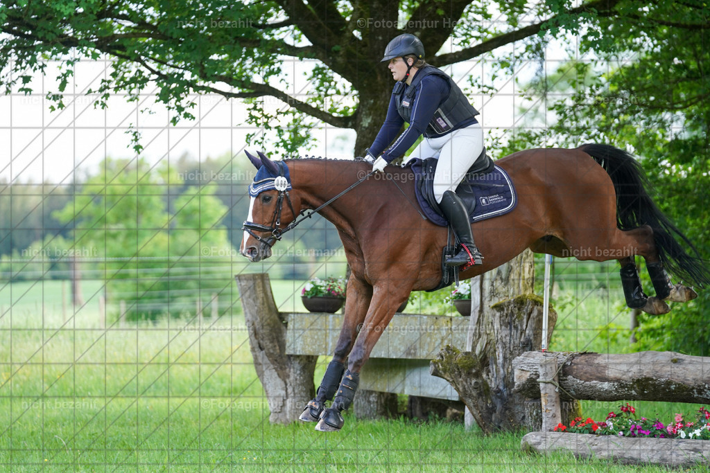 20240518-FAH04181 | Turnierbilder von Niederseon, Turnierfotografen Bayern, Fotoagentur Herrmann, Geländebilder, Reitsportfotografie