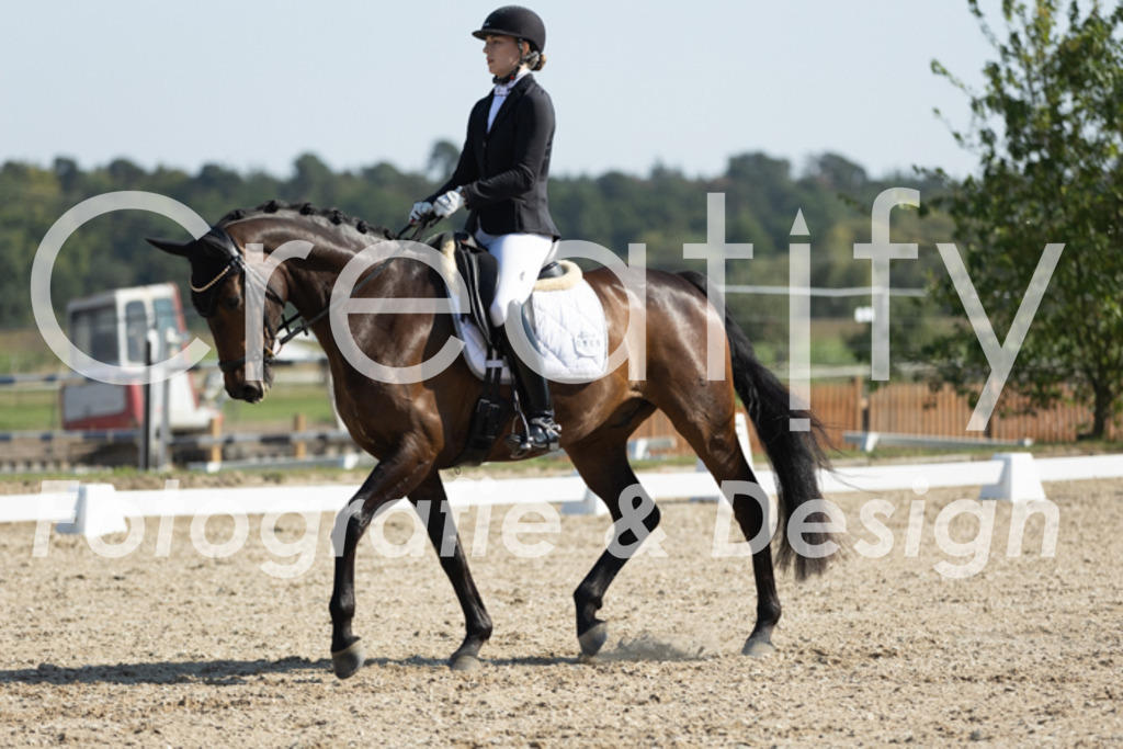 IMG_5682 | Creatify Fotografie