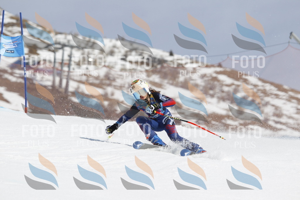 _U3G1415 | holidayphoto