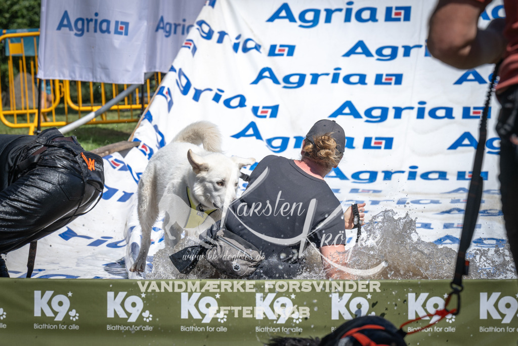 1309_ZZ98642 | kk-dogfotos