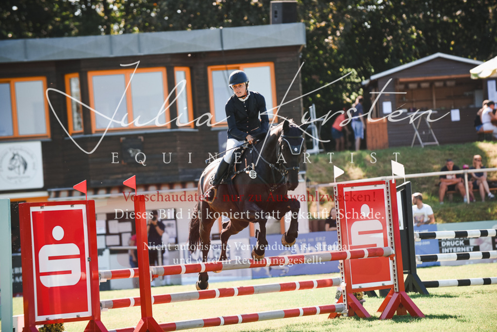 DSC_2549 | Pferde- und Turnierfotografie in Westsachsen. Pferdeportraits, Auftragszeichnungen und intuitive Kunst.