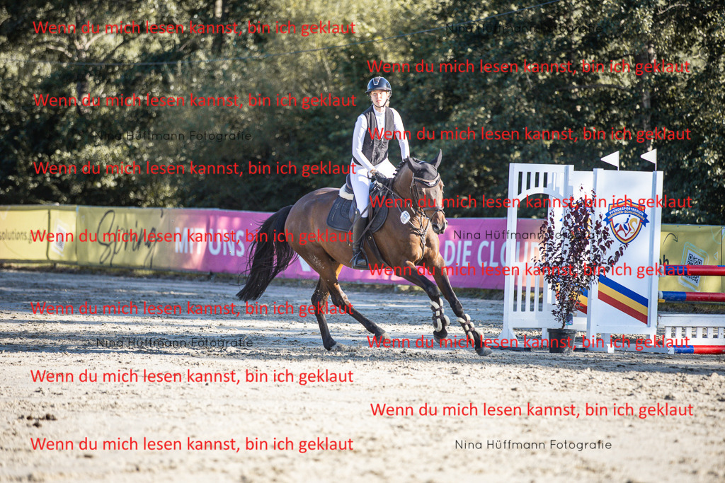 BK1A7804 | Turnierbilder Turnierfotos Nina Hüffmann Turnierfotografie Pferdefotografie Tierzeichnung Haustierzeichnung Pferdezeichnung Hundezeichnung Videograf  - Realisiert mit Pictrs.com